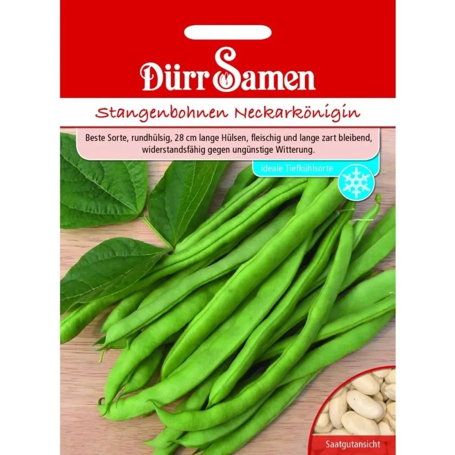 Dürr Samen Stangenbohnen Neckarkönigin Saatgut