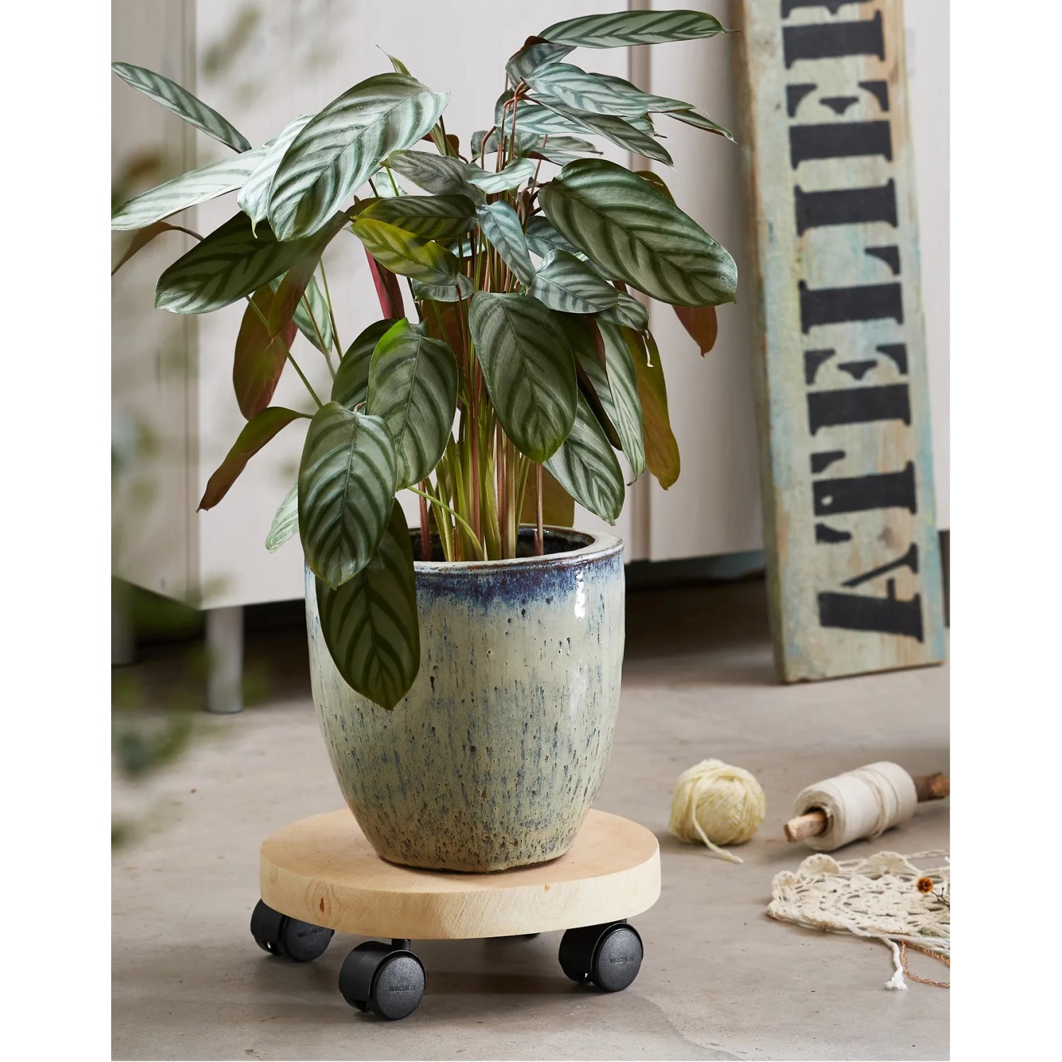 Wagner Pflanzenroller GH 0268 aus Birke mit Pflanze im Topf auf Rollen.