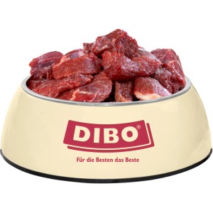 Dibo Hunde-Barf Rindfleisch 500g im Napf. Frostfutter für eine ausgewogene Hundeernährung.