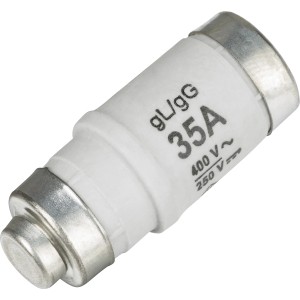 Weiße D02/E18 Schmelzsicherung, 35A träge, mit silbernen Kontakten. Schutz vor Überströmen.