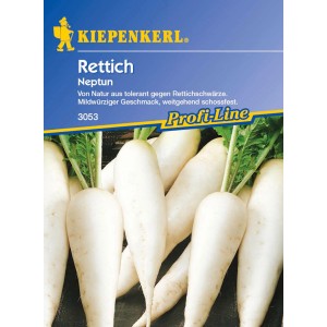 Kiepenkerl Rettich Neptun: Weiße, längliche Rettiche mit grünen Blättern auf der Verpackung.