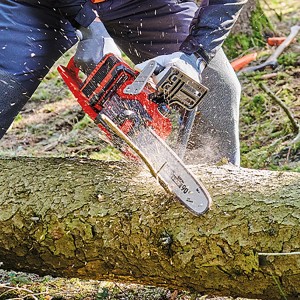 Einhell Akku-Kettensäge GP-LC 36/35 Li-Solo beim Sägen eines Baumstamms.