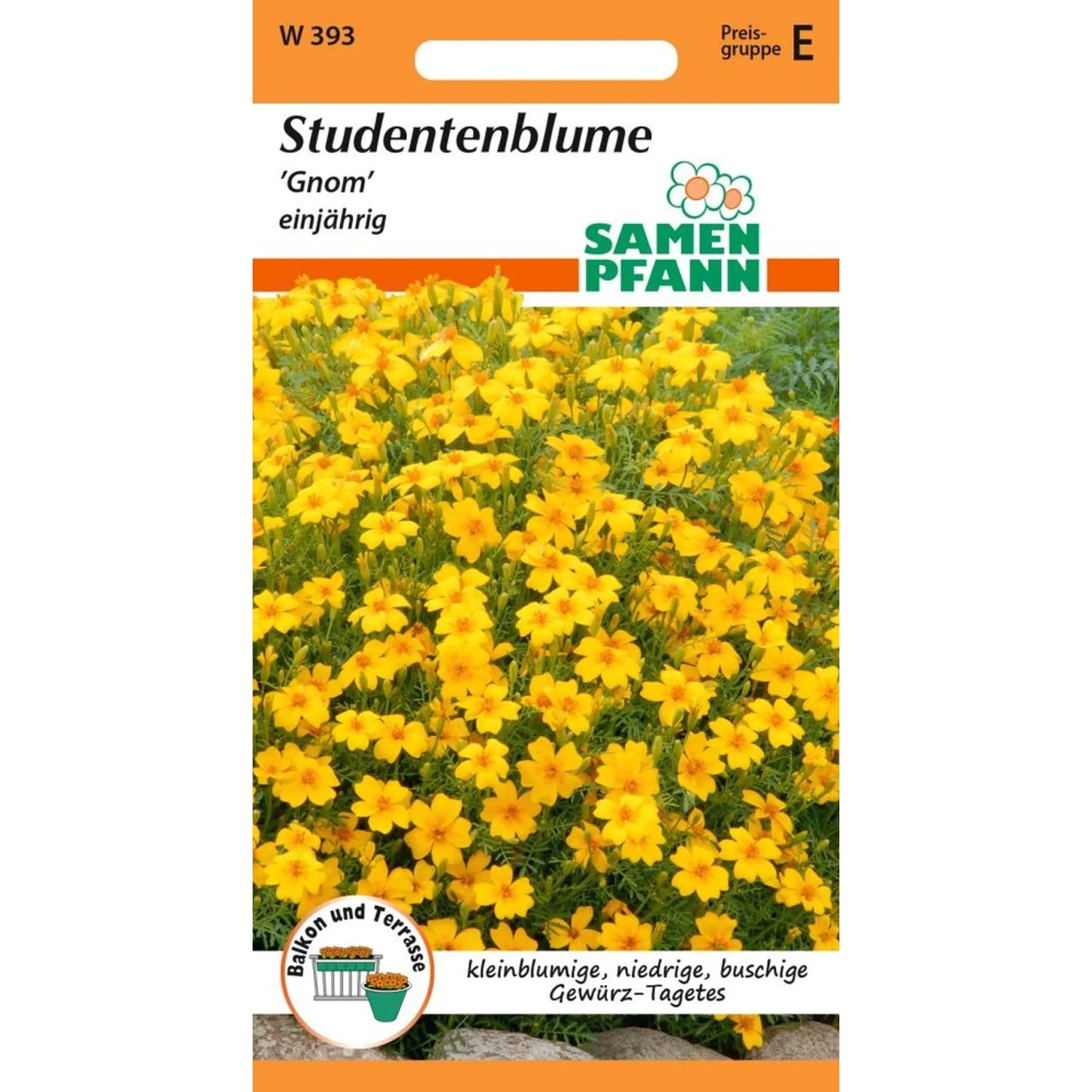 SAMEN PFANN Tagetes Gnom