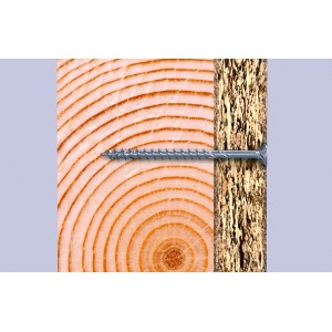 Fischer PowerFast II Holzschraube (3,5x35 mm) mit Senkkopf in Holz und Spanplatte.