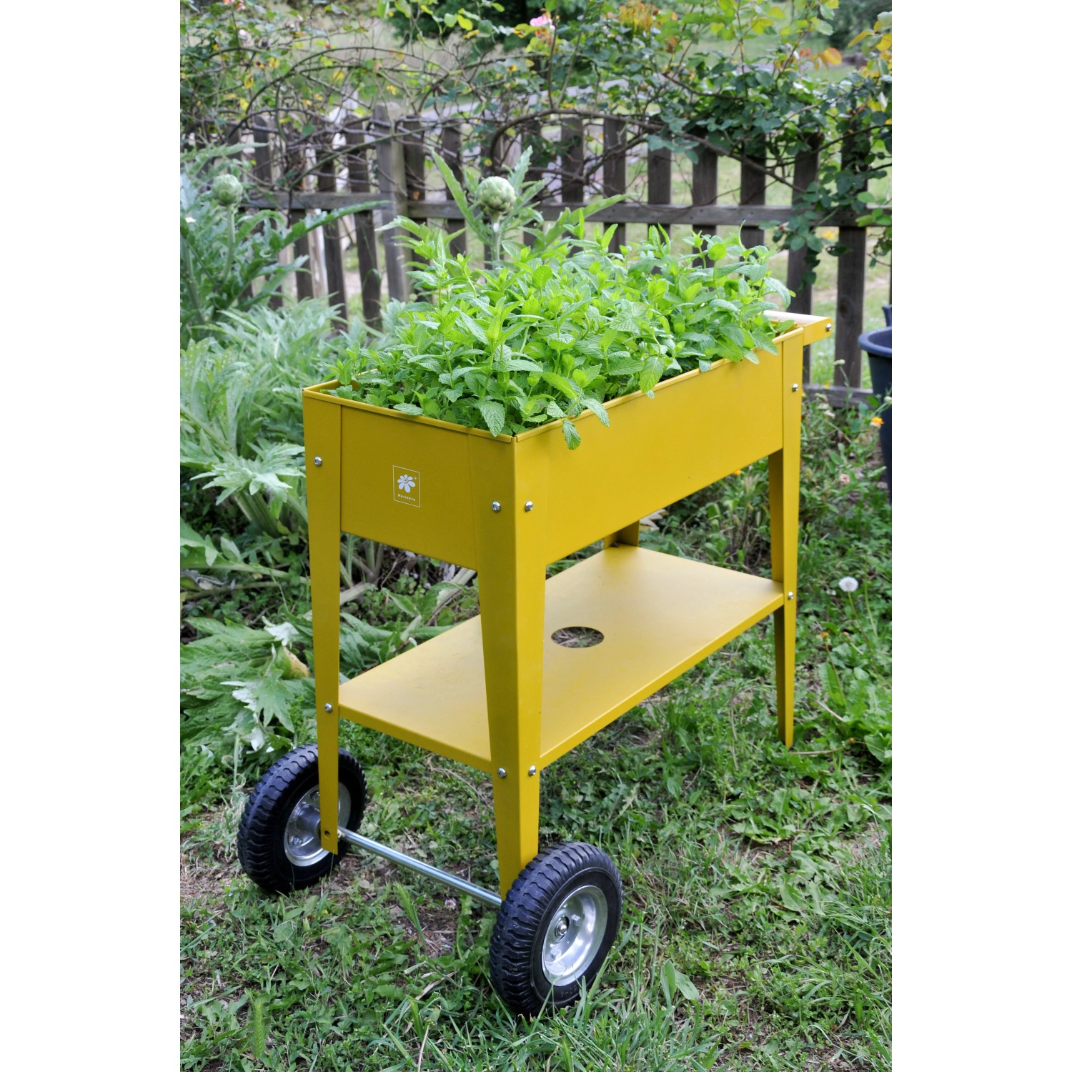 Gelbes Herstera Garden Metall-Hochbeet mit Rädern und Ablagefläche, bepflanzt mit Kräutern.