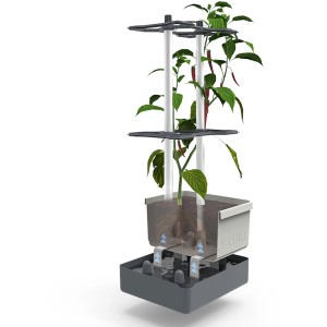 Gusta Garden Anzuchtsgefäß Charly Chili, dunkelgrün, mit Rankhilfe und Bewässerungssystem.