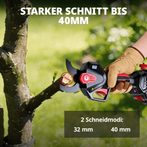 CCLIFE Akku Astschere 2in1 40mm Mit 2m Teleskopstange Ohne Akku