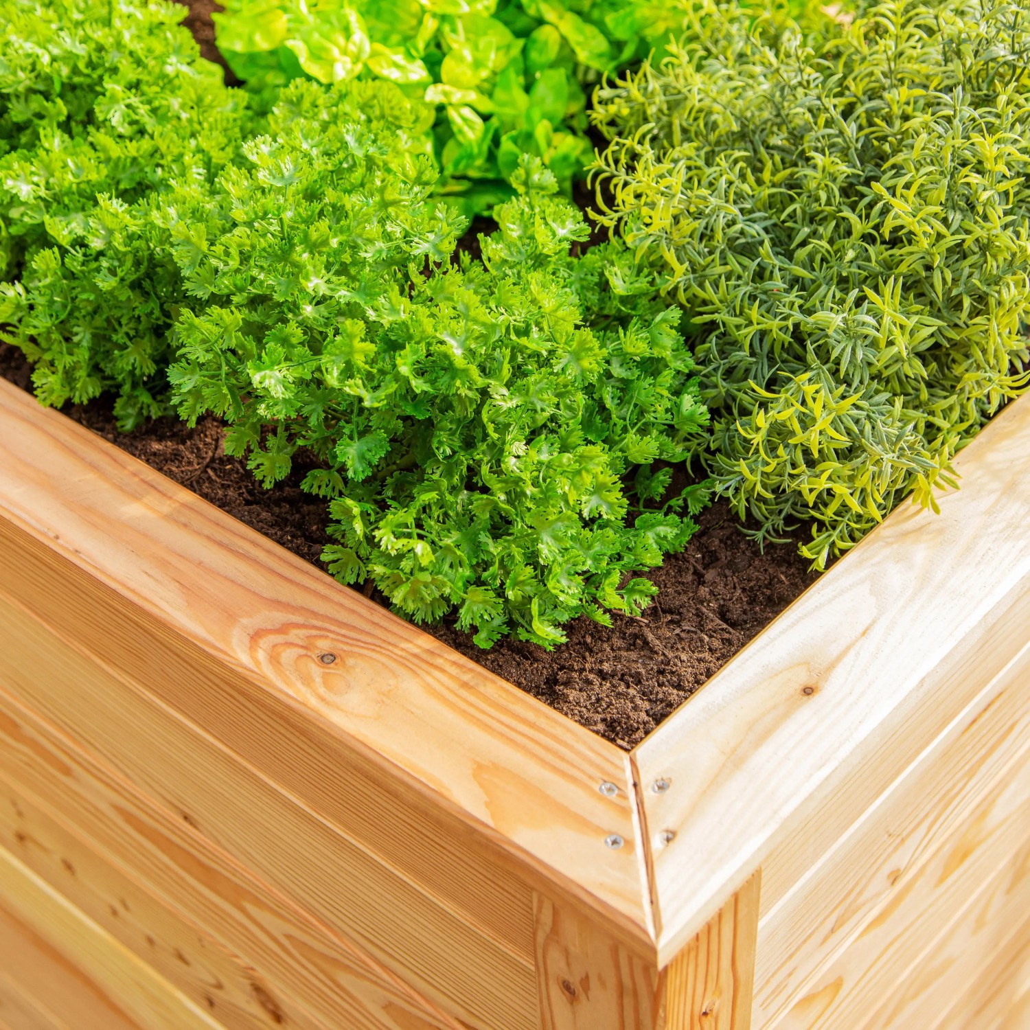 Westmann Hochbeet aus Lärche, bepflanzt mit Kräutern und Gemüse. Naturfarbenes Holz, FSC®-zertifiziert.