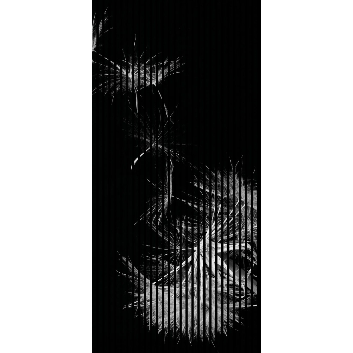 FN Acustico Akustikplatte Pusteblume 1 PET u. MDF Foliert 1.133 x 19 x 2.400 mm