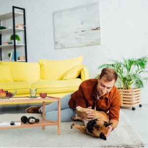 Relaxdays Beistelltisch aus Walnussholz mit transparenter Glasplatte und Ablagefläche, im Wohnzimmer.