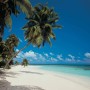 Komar Fototapete Maldives: Tropischer Strand mit Palmen und türkisfarbenem Meer.