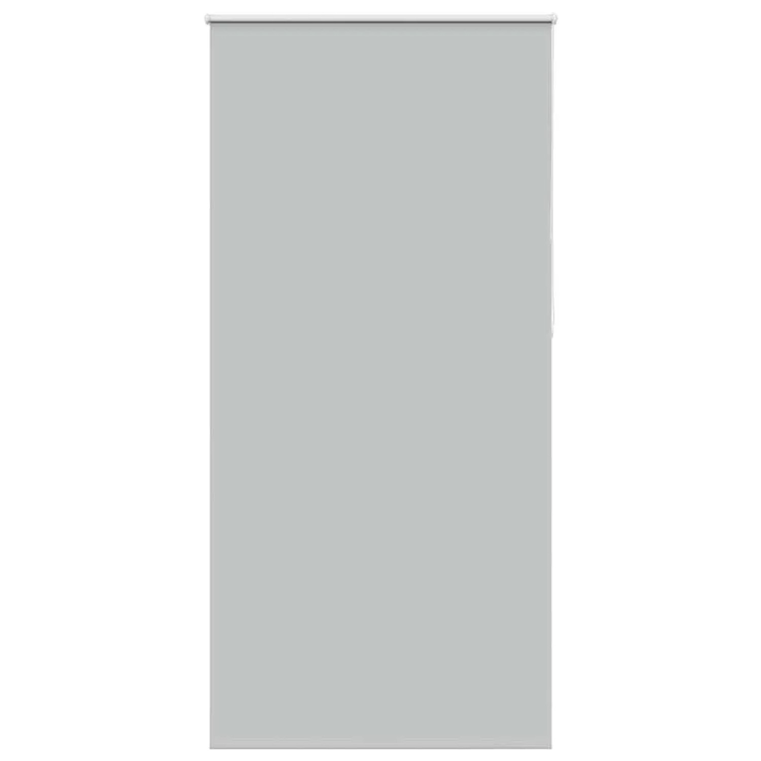 vidaXL Verdunkelungsrollo Hellgrau 105x210cm Stoffbreite 100,7cm 4011441 günstig online kaufen