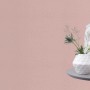 Rosa Vliestapete Rasch Bambino XIX 252873 Uni, kombiniert mit Deko-Elementen auf einem Tisch.