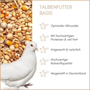 Weiße Taube neben Supravit Taubenfutter BASIS, einer vielfältigen Körnermischung. Allroundfutter für Tauben, ganzjährig.