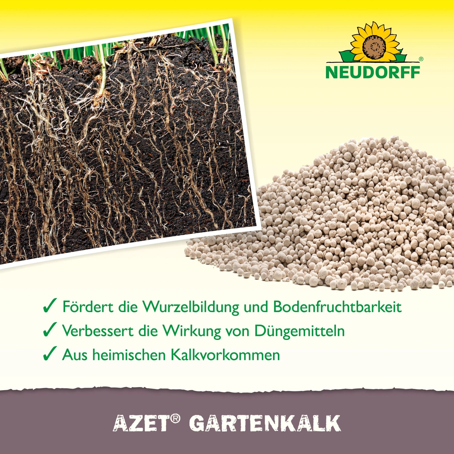 Neudorff Azet Gartenkalk Granulat und gesunde Pflanzenwurzeln im Boden. Fördert Wurzelbildung und Bodenfruchtbarkeit.