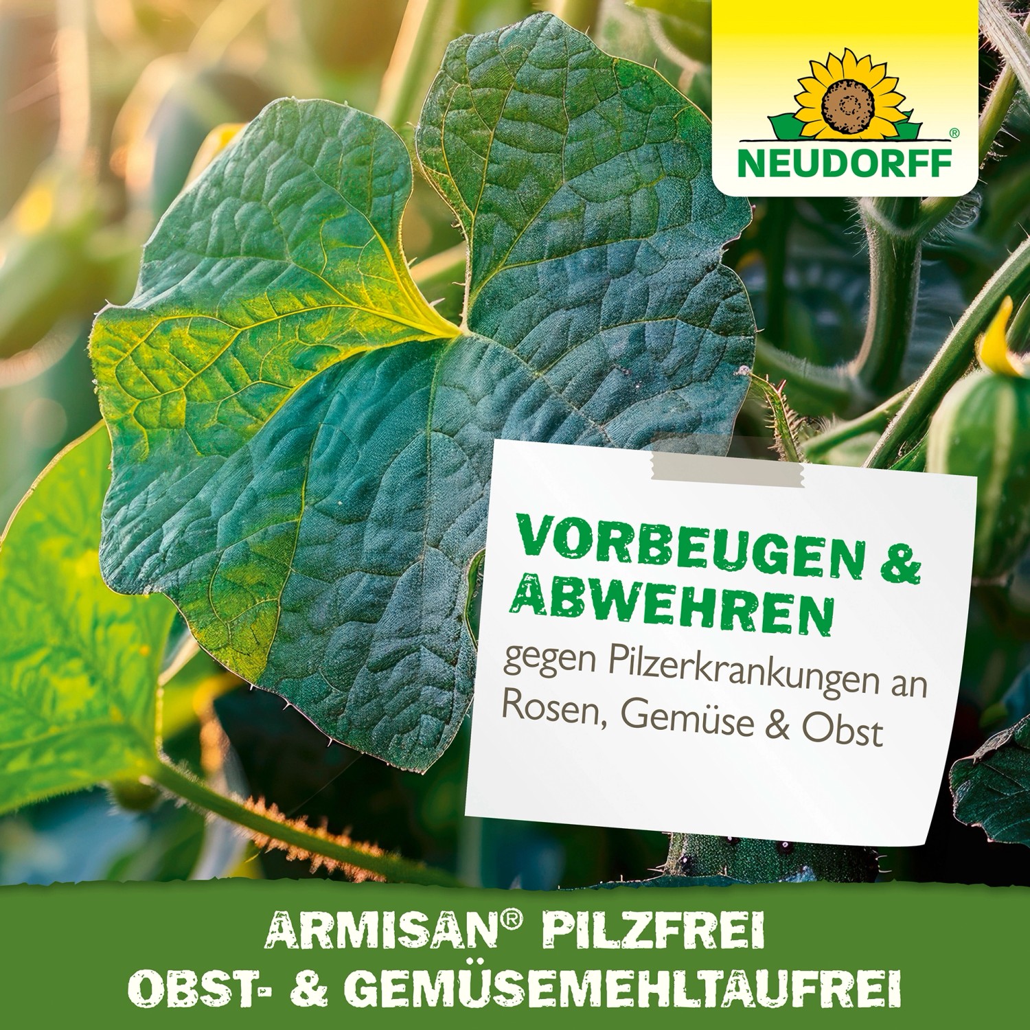 Neudorff Armisan Pilzfrei: Blatt mit Hinweis zur Vorbeugung gegen Mehltau an Obst und Gemüse.