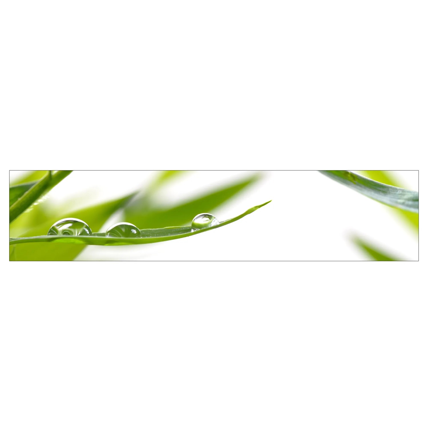 MySpotti Küchenrückwand Profix Cucina Dew Drop 270 x 60 cm Grasgrün