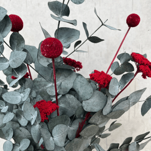 Lykke&You Pop of Color Eukalyptus Red