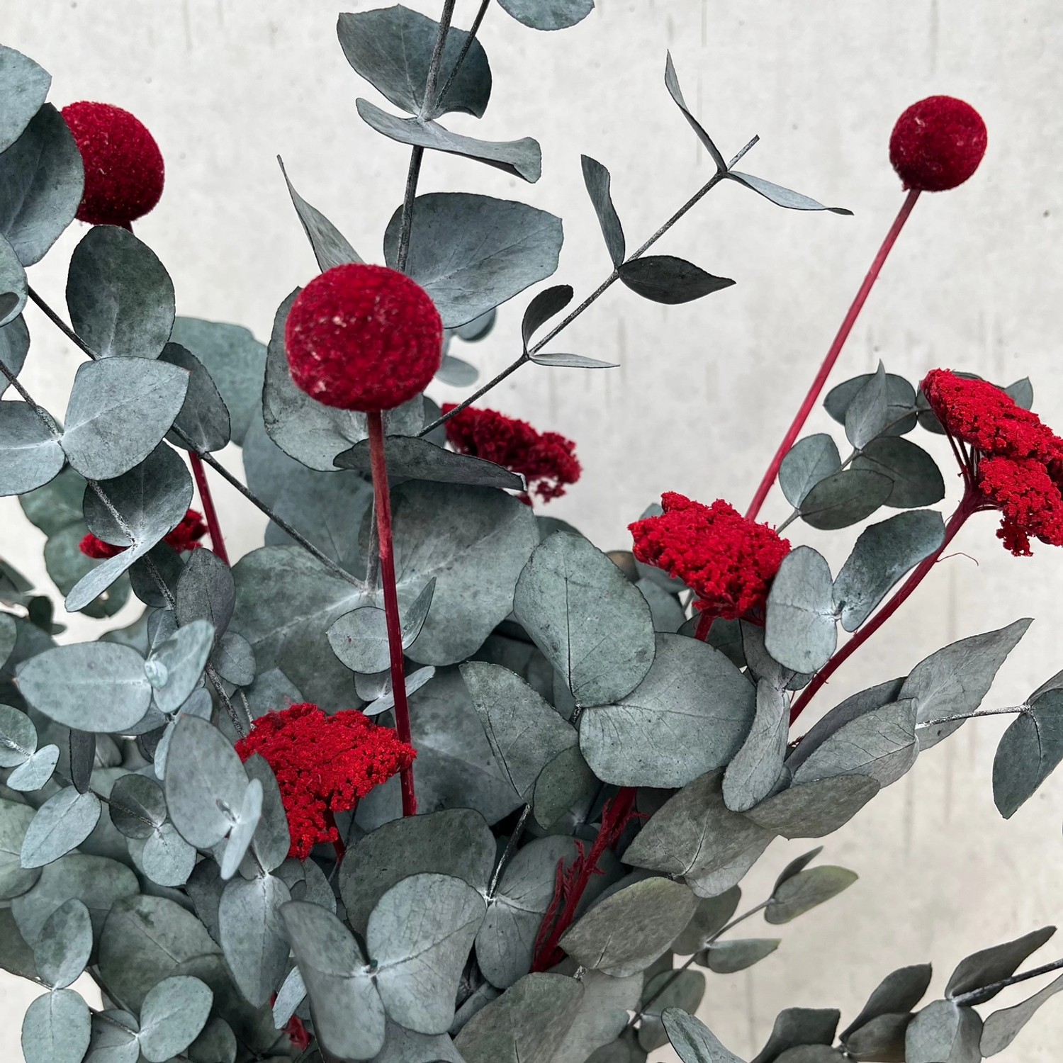 Lykke&You Pop of Color Eukalyptus Red günstig online kaufen