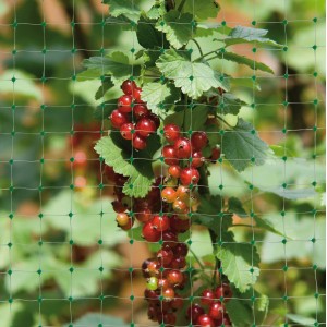 Windhager Vogelschutznetz Ortonet (4x5m) schützt Beeren vor Vogelfraß.
