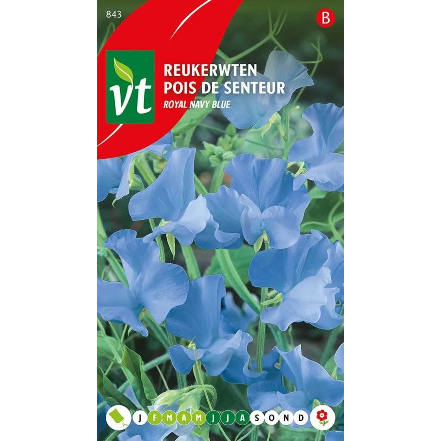 Marineblau Samen Ca. 3 g Tiefblaue Blüten