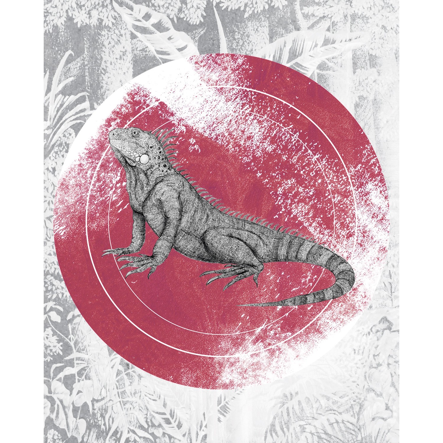 Komar Wandbild Iguana Circle 40 x 50 cm