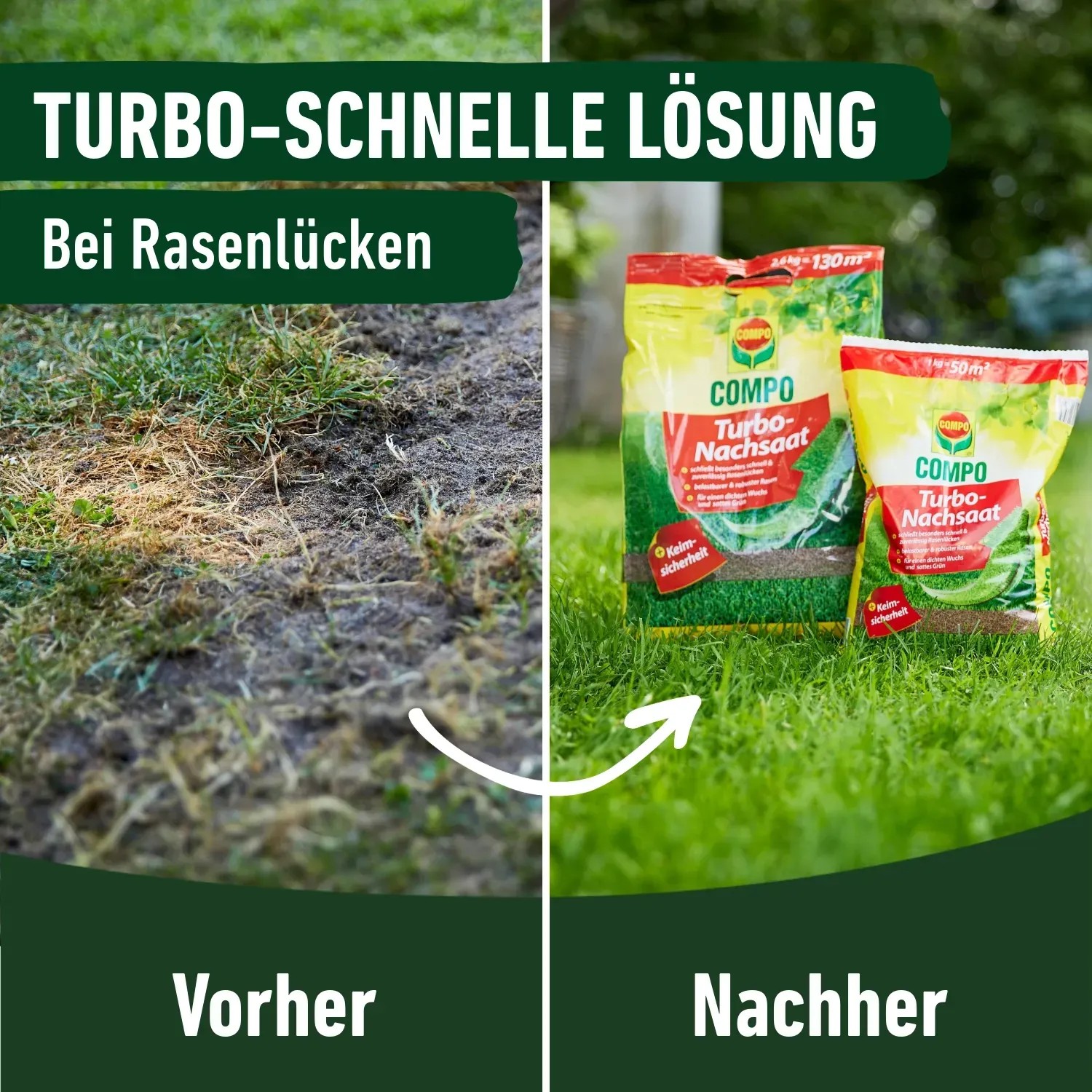 Compo Rasen Nachsaat Turbo: Vorher/Nachher-Vergleich mit Rasenlücken und zwei Rasensamen-Packungen.