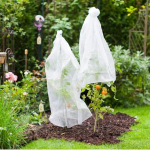 Tomatenpflanzen unter Windhager Vliesschlauch im Garten, Schutz vor Kälte und Schädlingen.