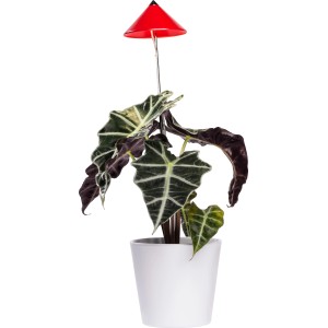 Parus LED-Pflanzenlampe Sunlite 7W (Rot) mit Teleskopstab für Pflanzenwachstum in Innenräumen.