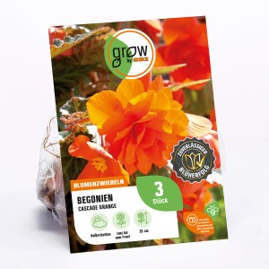 Packung GROW by OBI Begonie Cascade Orange, Blumenzwiebeln für Balkon und Garten.