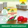 Neudorff Permanent Fruchtfliegenfalle, 1 Stück. Nachfüllbare Falle zur Bekämpfung von Fruchtfliegen.