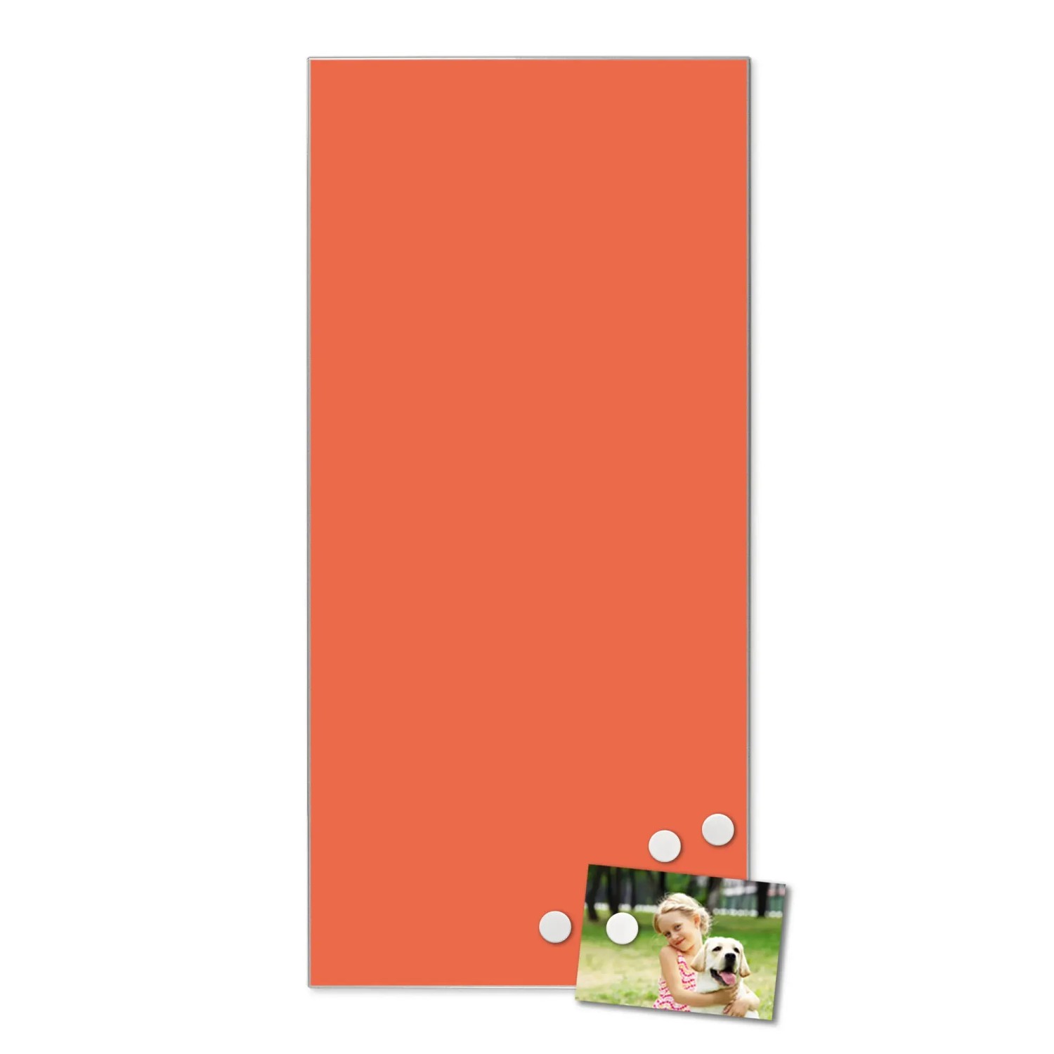 Banjado® Glas-Magnettafel – Elegante Magnetwand 40x40 Cm, Orange, Beschreibbar & Mit 4 Magneten