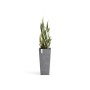 Hoher, grauer Ecopots Pflanztopf Rotterdam High, 32,5 cm, mit Pflanze.