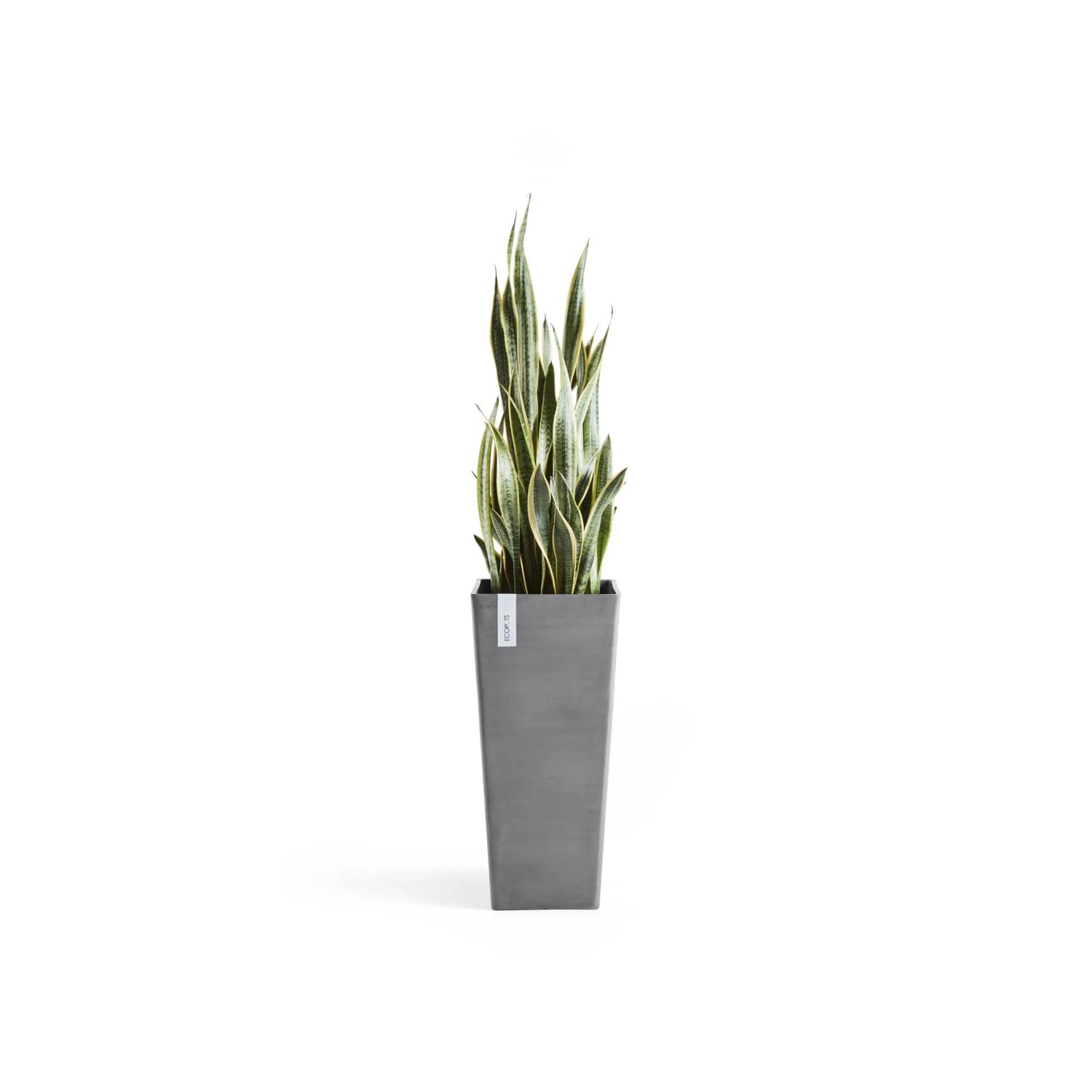 Hoher, grauer Ecopots Pflanztopf Rotterdam High, 32,5 cm, mit Pflanze.