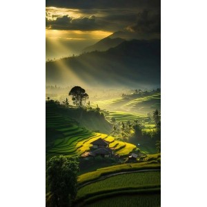 Grüne Bricoflor Vliestapete mit Landschaftsmotiv: Reisterrassen im Morgenlicht.