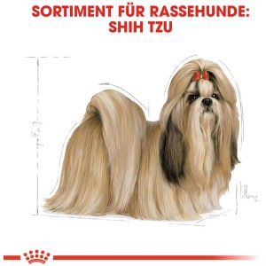 Illustration eines Shih Tzu Hundes, passend zum Royal Canin Trockenfutter für Shih Tzus.