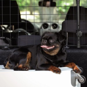 Relaxdays Hundegitter Auto Metall Kunststoff Schwarz Verstellbar 32 cm x 136 cm x 5 cm 1,86 kg