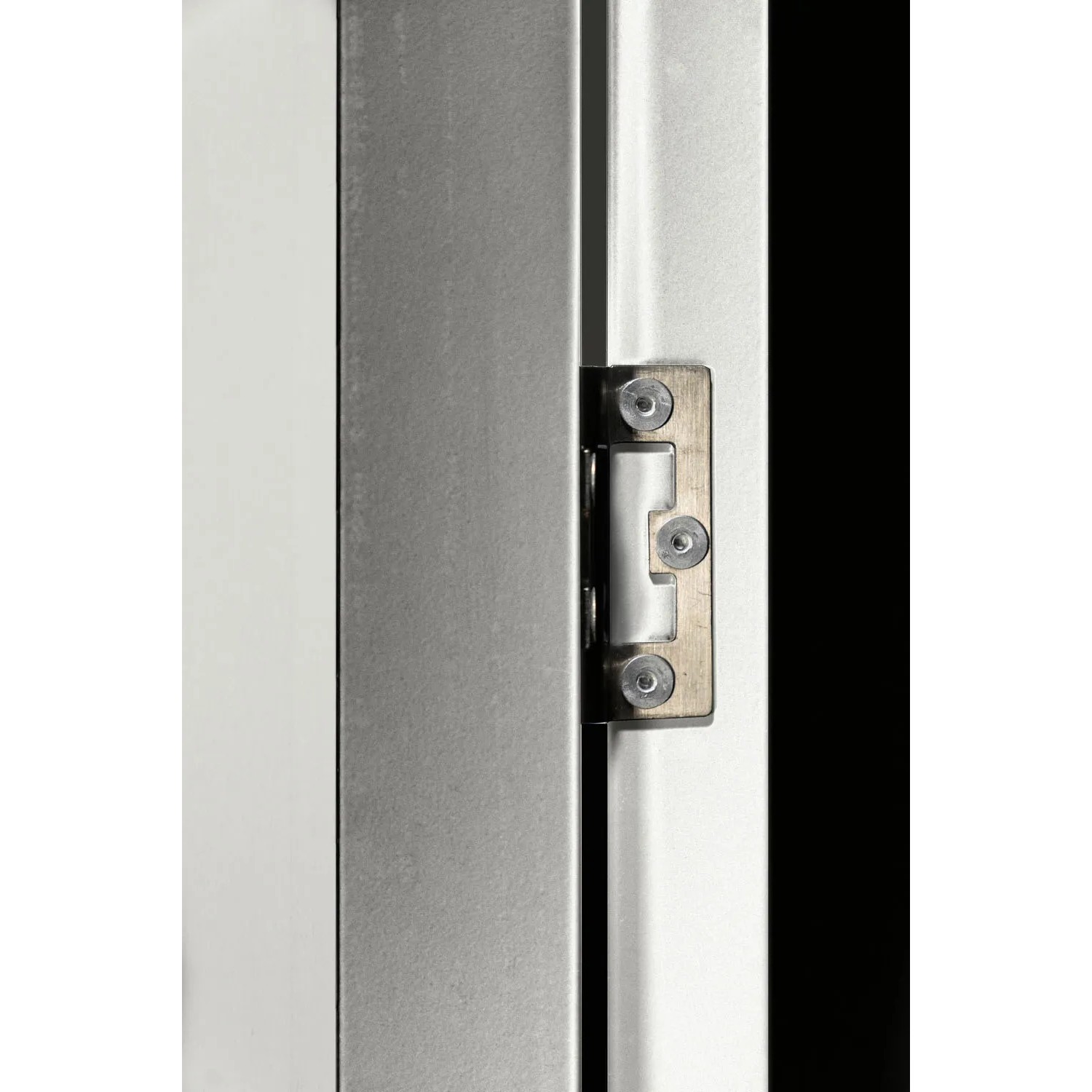 Detailaufnahme: Globel Schwingtür-Kit 1 für Metallgerätehäuser, Silber Metallic.