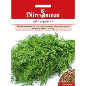 Dürr Samen Dill Elephant: Saatgut-Packung mit frischem, grünem Dill für den Garten.