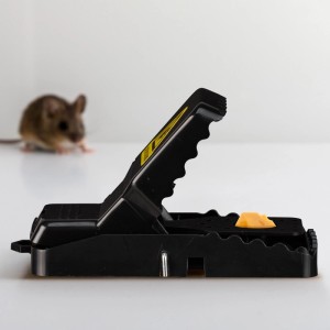 Relaxdays Mäusefalle 8er Set Kunststoff Schwarz Wiederverwendbar 6,5 cm x 11,5 cm x 5 cm