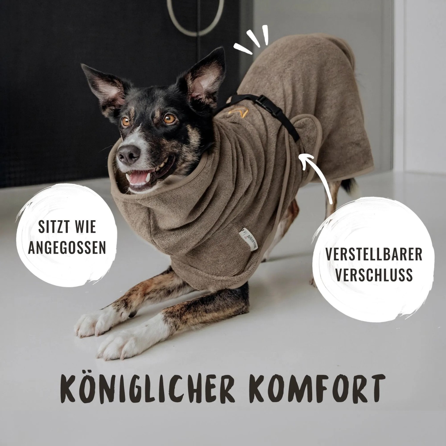 Rudelkönig Hunde Bademantel XL Grau Baumwolle Frottee_4
