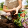 Frau hält eine Handvoll Compo Bio Anzuchterde neben einem Sack Anzuchterde.