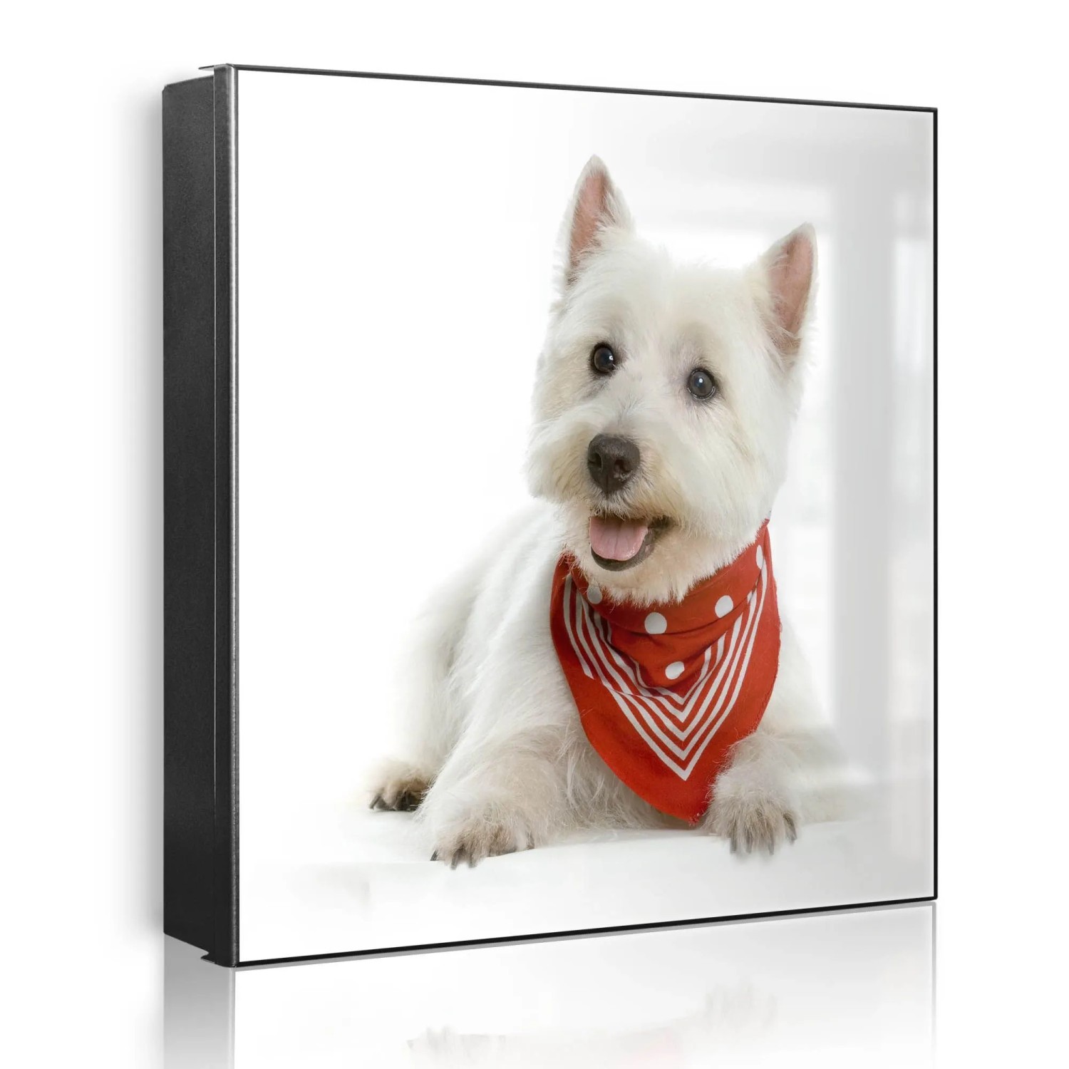 Banjado Großer Schlüsselkasten Metall 30x30cm Schwarz Scharnier Links 50 Haken Beschreibbar Magnetisch Motiv Westie