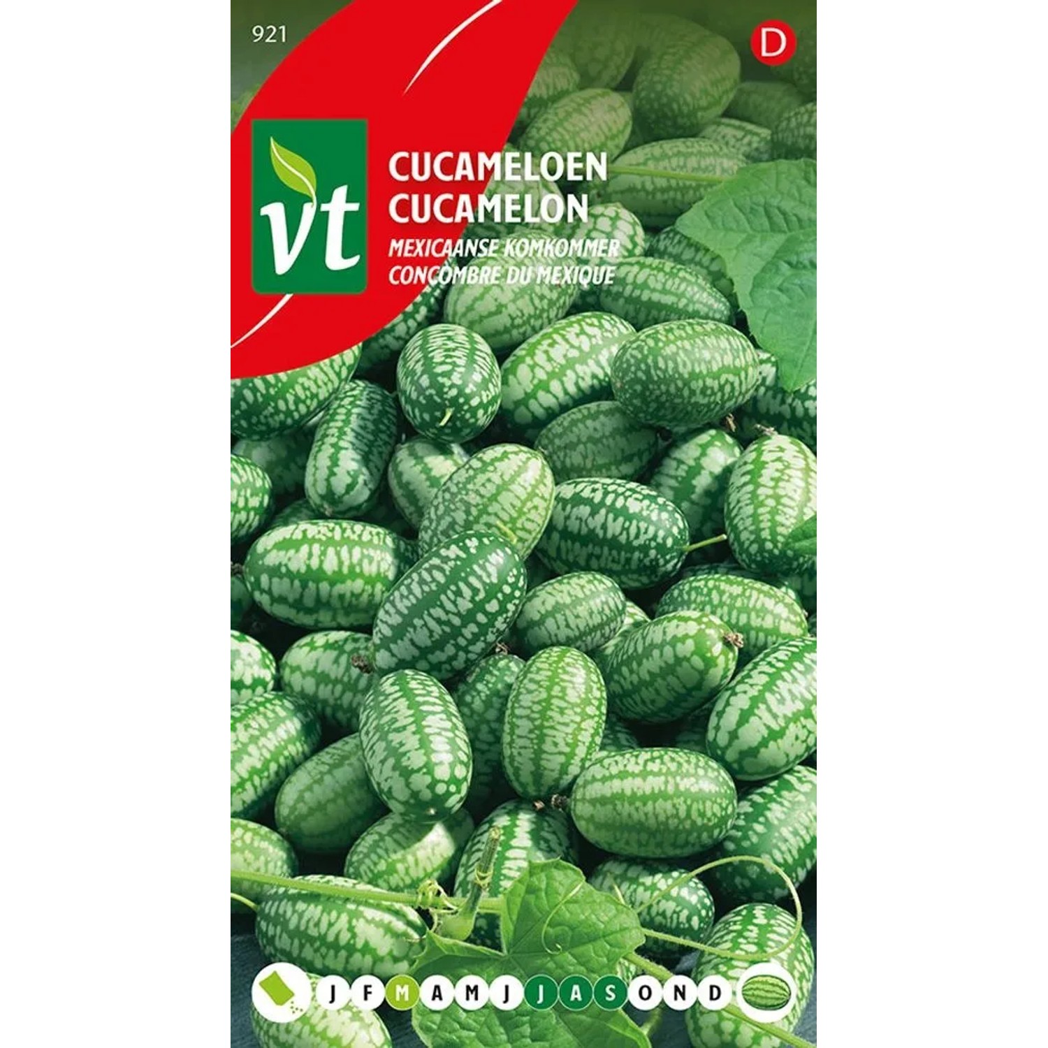 Mexikanische Minigurke Samen Ca. 15 Samen Kleine Früchte