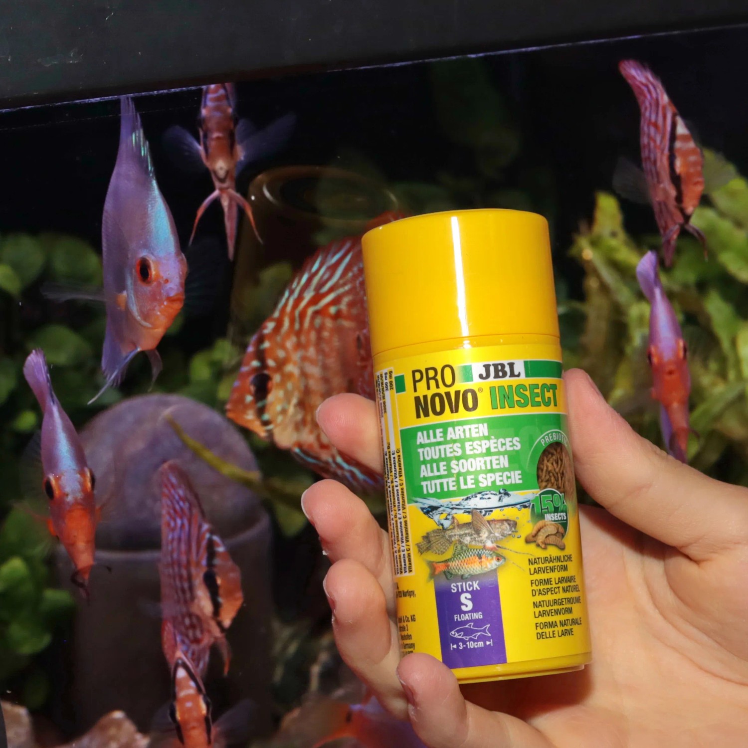 JBL Pronovo Insect Stick S Fischfutter im gelben Behälter, geeignet für Aquarienfische von 3-10 cm.
