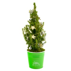 Dekorierte Zuckerhut-Fichte im grünen Zinktopf als Adventsschmuck.