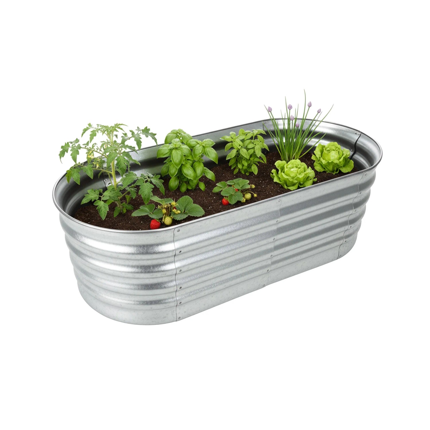 Relaxdays Hochbeet Halbrund Metall Silber Bodenfrei 45 cm x 150 cm x 60 cm 9,3 kg