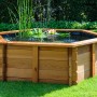 Hexagon Gartenteich aus Kiefernholz mit Teichfolie, bepflanzt mit Seerosen und Gräsern.