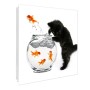 Weißer Schlüsselkasten mit Glasfront, Katze und Goldfisch Motiv, 50 Haken, magnetisch und beschreibbar.