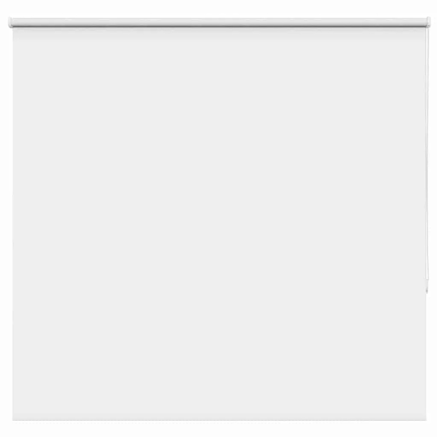 vidaXL Verdunkelungsrollo Weiß 160x175 cm Stoffbreite 156,6 cm 4011946 günstig online kaufen